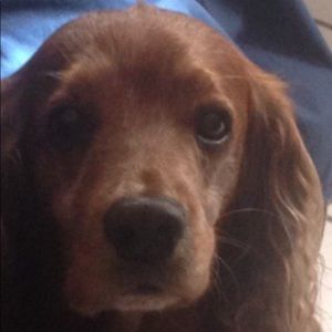 Meet your Posher, Edmundo